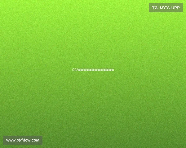 CBA赛事精彩回顾：聚焦赛季亮点与各队表现全方位分析