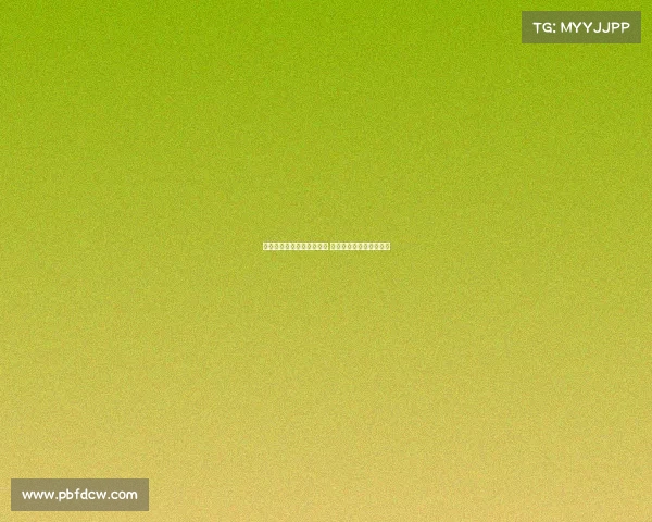 新赛季德甲揭幕战全面开启 热点对决与新星崭露头角