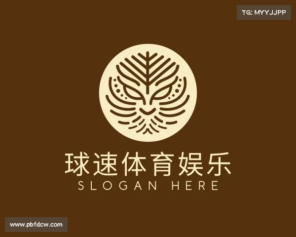 介绍球速体育